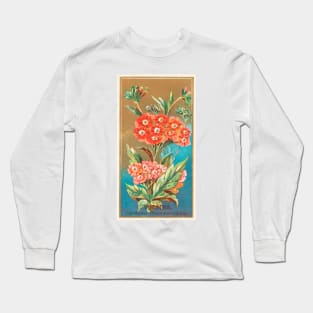 Verbena (Verbena chamaedrifolia) Long Sleeve T-Shirt